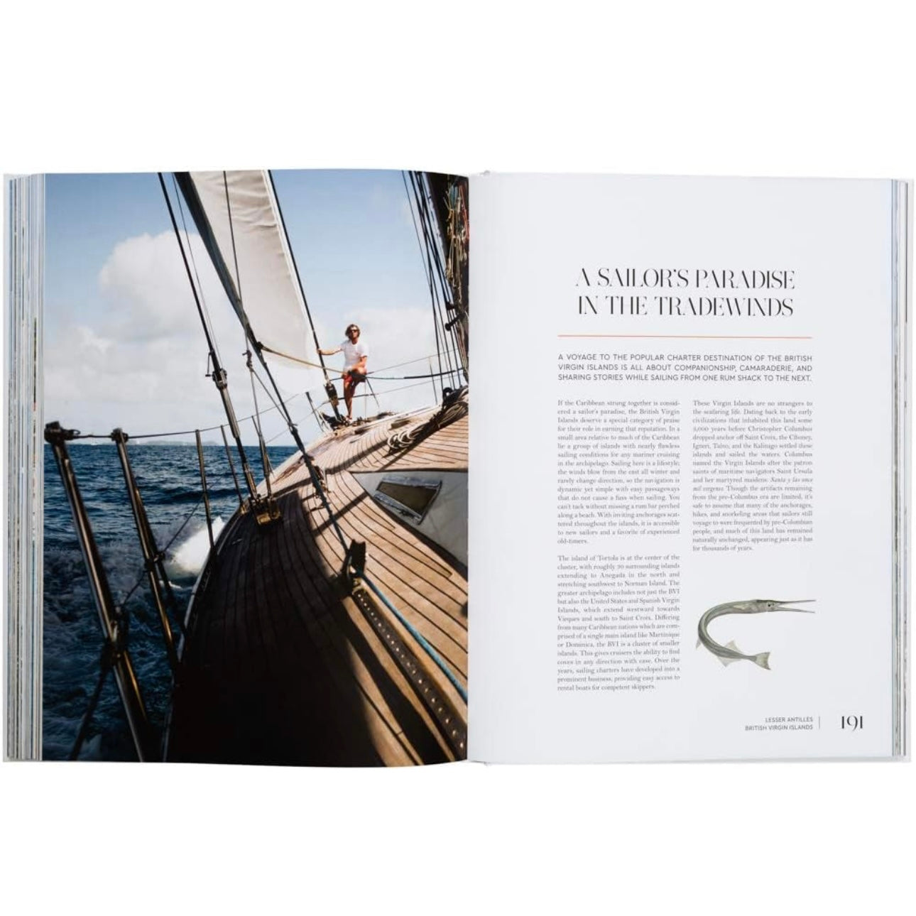Sailing the Seas: A Voyager's Guide to Oceanic Getaways